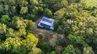 Cropping For Sale - QLD - East Trinity - 4871 - 342 Acres, Off Grid Living and Farming  (Image 2)