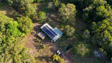 Cropping For Sale - QLD - East Trinity - 4871 - 342 Acres, Off Grid Living and Farming, Walk-in Walk-Out  (Image 2)