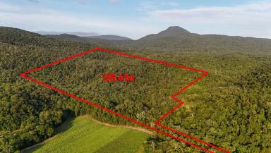 Cropping For Sale - QLD - East Trinity - 4871 - 342 Acres, Off Grid Living and Farming  (Image 2)