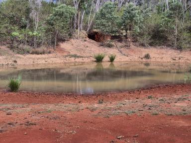 Lifestyle For Sale - QLD - Cherry Creek - 4314 - 98.84 acres Grazing Land, Shed, Power, Dam and Bore.  (Image 2)