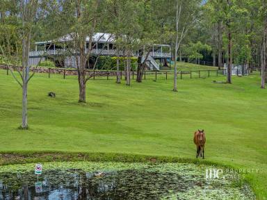 House For Sale - QLD - Wights Mountain - 4520 - Stunning Family Home on Fully Usable Acreage  (Image 2)