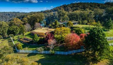 Commercial Farming For Sale - NSW - Willsons Downfall - 2372 - An Exclusive Opportunity for Agriculture, Recreation, and Luxe Accommodation Development  (Image 2)