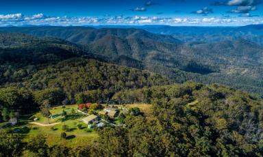 Commercial Farming For Sale - NSW - Willsons Downfall - 2372 - An Exclusive Opportunity for Agriculture, Recreation, and Luxe Accommodation Development  (Image 2)