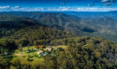 Business For Sale - NSW - Willsons Downfall - 2372 - Agriculture, Recreation and Luxe Accommodation Development Opportunity  (Image 2)