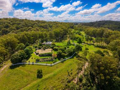 Business For Sale - NSW - Willsons Downfall - 2372 - Agriculture, Recreation and Luxe Accommodation Development Opportunity  (Image 2)