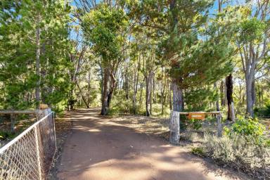 Acreage/Semi-rural For Sale - WA - Margaret River - 6285 - Private Bushland Sanctuary  (Image 2)