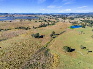 Residential Block For Sale - QLD - Lower Wonga - 4570 - BEST OF THE WEST  (Image 2)