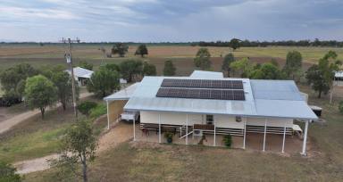 Lifestyle For Sale - NSW - Gurley - 2398 - Rare 100 Acre Block close to town!  (Image 2)