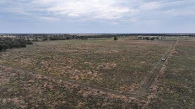 Lifestyle For Sale - NSW - Gurley - 2398 - Rare 100 Acre Block close to town!  (Image 2)