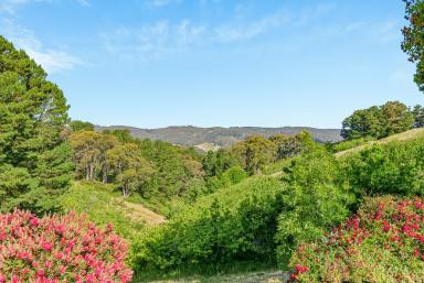 House Sold - SA - Basket Range - 5138 - A Hills' hideaway packed with improvements  (Image 2)