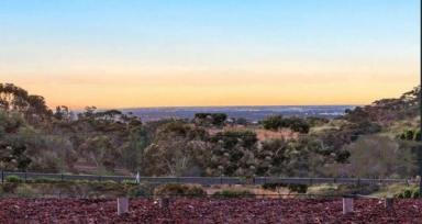 Residential Block For Sale - SA - Wynn Vale - 5127 - BE QUICK - DON’T MISS OUT - Build Your Dream Home with Panoramic Views in Wynn Vale (Image 2)