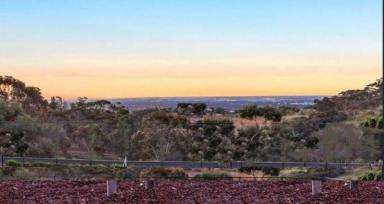 Residential Block For Sale - SA - Wynn Vale - 5127 - BE QUICK - DON’T MISS OUT - Build Your Dream Home with Panoramic Views in Wynn Vale  (Image 2)