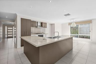 House Sold - VIC - White Hills - 3550 - Contemporary Easy Living - Quiet Locale  (Image 2)