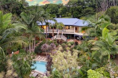 House For Sale - QLD - Cooran - 4569 - Open Home Friday 12 - 12.30pm - 6 Acre Estate in the Picturesque Noosa Hinterland  (Image 2)