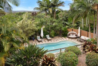 House For Sale - QLD - Cooran - 4569 - 6 Acre Estate in the Picturesque Noosa Hinterland  (Image 2)