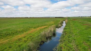 Livestock For Sale - VIC - Breakaway Creek - 3303 - Drought Proof Evergreen Outpaddock  (Image 2)