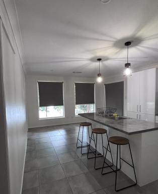 House Leased - NSW - Raymond Terrace - 2324 - MODERN FAMILY HOME!!  (Image 2)