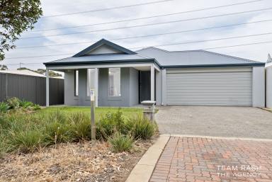 House Sold - WA - Wellard - 6170 - Modern Comfort and Style at 3 Serenity Street, Wellard  (Image 2)