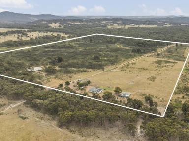 Acreage/Semi-rural For Sale - VIC - Hilldene - 3660 - 101 ACRES TO CREATE YOUR DREAM IN HILLDENE  (Image 2)