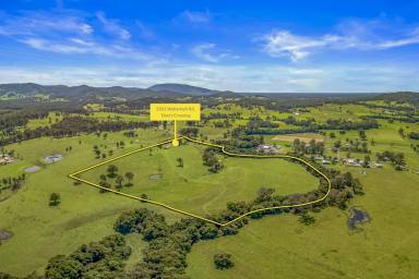 Other (Rural) For Sale - NSW - Dyers Crossing - 2429 - 'Beeandee' - Privacy - Position - Potential (Image 2)