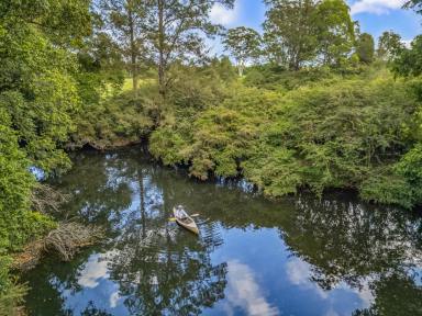 Other (Rural) For Sale - NSW - Dyers Crossing - 2429 - 'Beeandee' - Privacy - Position - Potential  (Image 2)