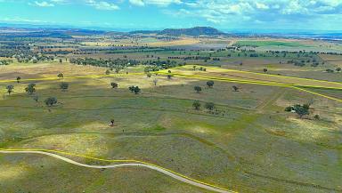 Mixed Farming For Sale - NSW - Quirindi - 2343 - "McLeish" 20 Callaghans Lane, QUIRINDI  (Image 2)