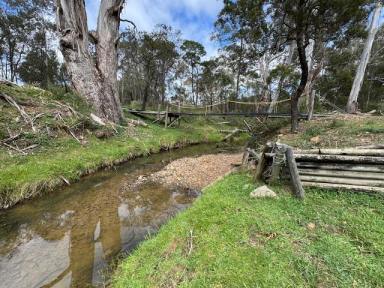 Lifestyle For Sale - NSW - Bannaby - 2580 - Escape the hustle and bustle and immerse yourself in rural tranquility  (Image 2)