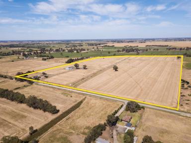 Horticulture For Sale - VIC - Wyuna - 3620 - Immaculate 80-Acre Horticultural Property with Premium Infrastructure and Family Home  (Image 2)