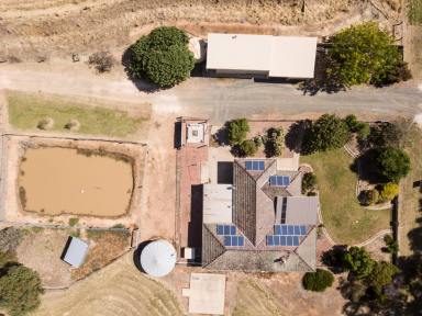 Horticulture For Sale - VIC - Wyuna - 3620 - Immaculate 80-Acre Horticultural Property with Premium Infrastructure and Family Home  (Image 2)