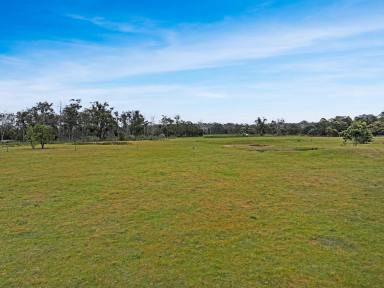 Lifestyle For Sale - VIC - Stradbroke - 3851 - 100 acre mixed bush and pasture with potential for home  (Image 2)