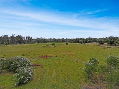 Lifestyle For Sale - VIC - Stradbroke - 3851 - 100 acre mixed bush and pasture with potential for home  (Image 2)