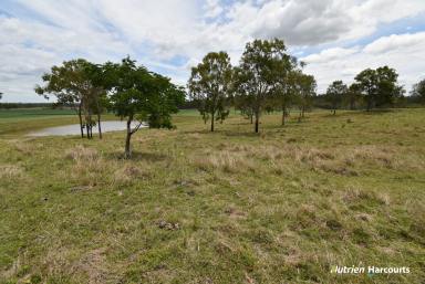 Lifestyle For Sale - QLD - McIlwraith - 4671 - Excellent Lifestyle Block with Great Views!!  (Image 2)