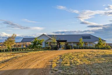Acreage/Semi-rural Sold - NSW - Yass - 2582 - The Ultimate Lifestyle - With Income!  (Image 2)