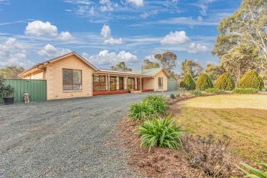 Lifestyle For Sale - VIC - Kyabram - 3620 - Idyllic Rural Retreat: Modern Comfort Meets Equestrian Excellence  (Image 2)