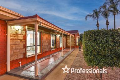 House For Sale - VIC - Red Cliffs - 3496 - The Ultimate Family Retreat - Room to Grow, Room to Play, Room to Relax  (Image 2)