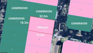 Residential Block For Sale - QLD - Russell Island - 4184 - 589sqm on Sealed Road, Less Than 3km from Town  (Image 2)