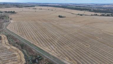 Other (Rural) For Sale - NSW - Warialda - 2402 - Postmans, Warialda  (Image 2)