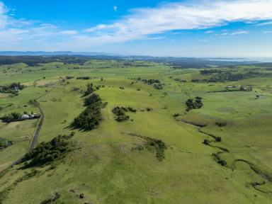 Lifestyle For Sale - NSW - Jerrara - 2533 - 'Jerrara Meadow' - Stunning Vacant Land with Scenic Views and Building Potential in Jamberoo Valley (Image 2)