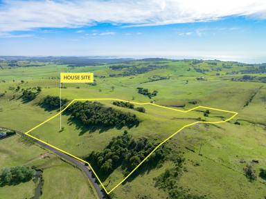 Lifestyle For Sale - NSW - Jerrara - 2533 - 'Jerrara Meadow' - Stunning Vacant Land with Scenic Views and Building Potential in Jamberoo Valley (Image 2)
