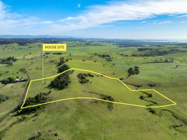 Lifestyle For Sale - NSW - Jerrara - 2533 - 'Jerrara Meadow' - Stunning Vacant Land with Scenic Views and Building Potential in Jamberoo Valley  (Image 2)