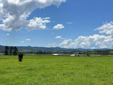 Mixed Farming For Sale - NSW - Old Bonalbo - 2469 - "OAK-LEA FARM" - 300 BREEDER PROPERTY  (Image 2)