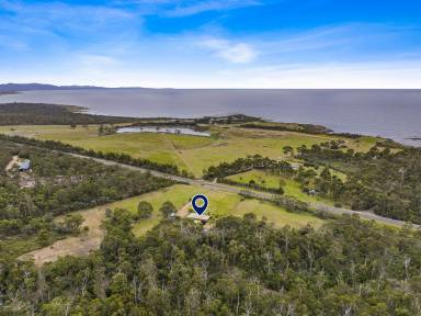 House For Sale - TAS - Four Mile Creek - 7215 - Rural Delight Close To The Coast  (Image 2)