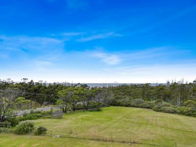 House For Sale - TAS - Four Mile Creek - 7215 - Rural Delight Close To The Coast  (Image 2)