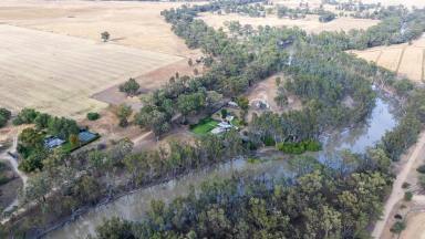 Lifestyle Auction - VIC - Barmah - 3639 - Rustic Rural Living  (Image 2)