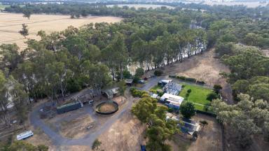 Lifestyle Auction - VIC - Barmah - 3639 - Rustic Rural Living  (Image 2)