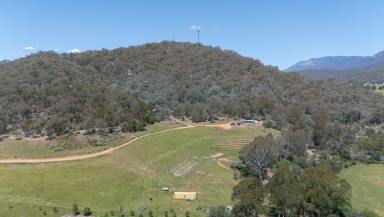 Residential Block For Sale - VIC - Myrtleford - 3737 - 44 Acres with Planning Permit  (Image 2)