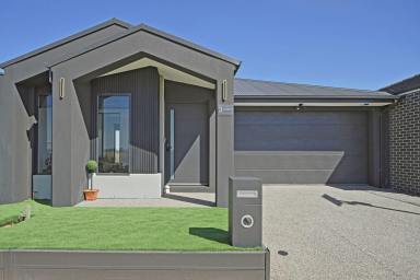 House For Sale - VIC - Fraser Rise - 3336 - Elegant, Modern Family Living in Fraser Rise  (Image 2)