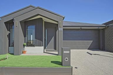 House For Sale - VIC - Fraser Rise - 3336 - Elegant, Modern Spacious Family Living in Fraser Rise  (Image 2)
