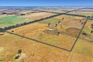 Lifestyle For Sale - VIC - Lindenow South - 3875 - 98 Acre Country Lifestyle, Off the Grid, 20 minutes from town.  (Image 2)