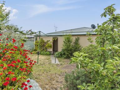 House For Sale - VIC - Seymour - 3660 - 3 Bedroom Renovator in  Seymour  (Image 2)